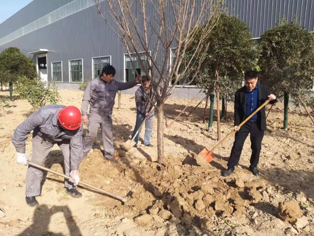 四通員工義務植樹、共建和諧綠色家園